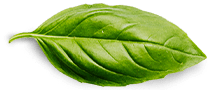 Home 12 basil leaf Power Banks Factory